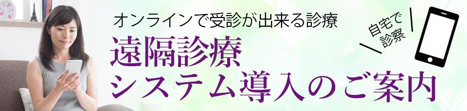 遠隔診療システム